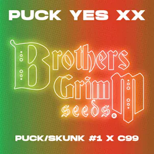 Photo of Puck Yes Feminized Seeds