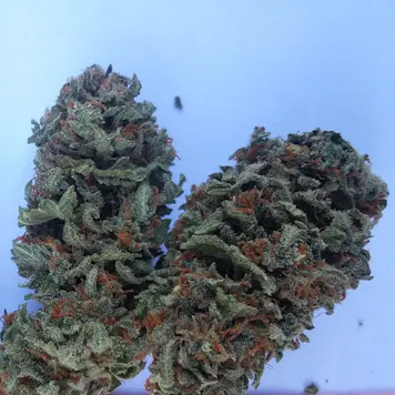 Photo of Tahoe OG