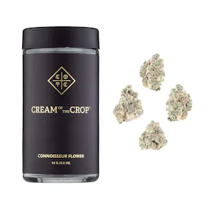 Photo of Dragon Spritz | 14g | Smalls