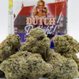 Dutch Delight - Platinum Line