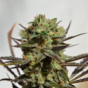 Photo of Delicious Candy