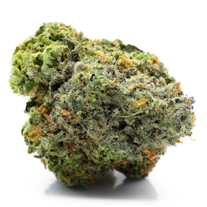 Photo of Good Day Farm: Banana Cream Cake x Jealousy | Exotics Flower | 3.5g