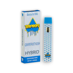 Photo of Hybrid Delta-8 THC Disposable Vapes 1000mg