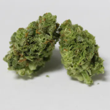 Photo of XJ - 13 | Flash Frozen Cured