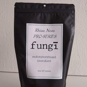Product image for Fungi
