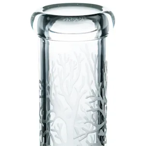 Photo of Tree Sandblasted Etched Beaker Bong