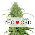 Carmagnola CBD (fem) seeds