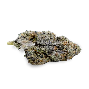 Photo of Zoap Feminized Seeds