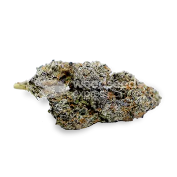 Photo of Zoap Feminized Seeds