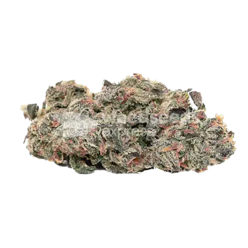 Photo of Pink Runtz Autoflower Seeds