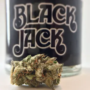 Photo of Black Jack