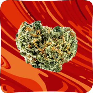 Photo of Flower - Chemdog
