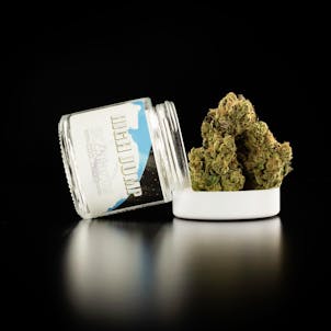 Product image for High Jump