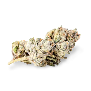 Photo of Zkittlez Feminized Seeds