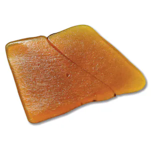 Photo of Nepenthe Tangie Shatter
