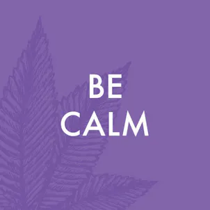 Photo of Be Calm 12oz Hemp Shower & Bubbles