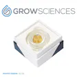 Product image for Chimera x Wedding Cake Live Hash Rosin Cold Cure (1g)