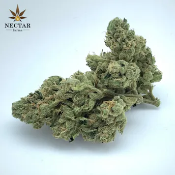 Photo of Larry OG