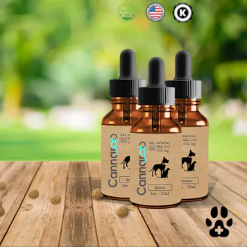 Photo of CBD Oil for Dogs & Pets by Cannaroo