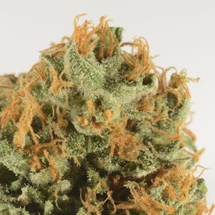 Photo of 3rd Coast Panama Chunk