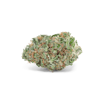 Photo of Organic Skunk Haze