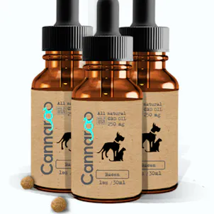 Photo of CBD Oil for Dogs & Pets by Cannaroo