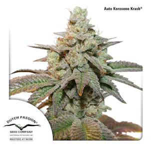 Photo of Auto Kerosene Krash