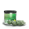Gelato Runtz