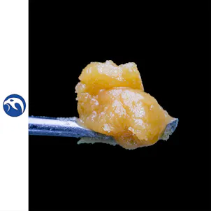 Photo of Pacific Purple Wax 1g