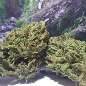 Photo of Blue Dream