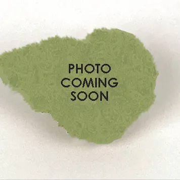 Photo of Grape Stomper