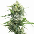 Product image for Banana Kush Autoflower