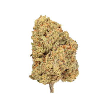 Photo of Dosi Punch by Clover Valley Ranch | Gold (3.5g)