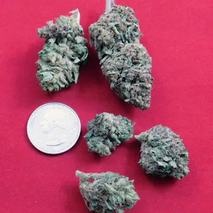 Photo of Lifter CBD Flower