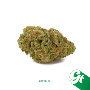 Photo of Haven OG