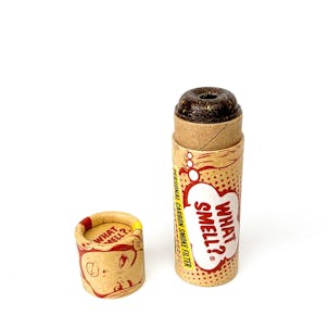 Photo of What Smell? Smoke Filter