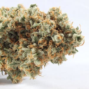 Photo of Kosher Jack