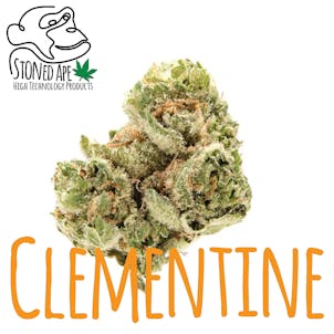 Photo of Clementine Quad $25.00 | 1/4 OZ Delta-8 Hemp Top Shelf Flower | by Canna River
