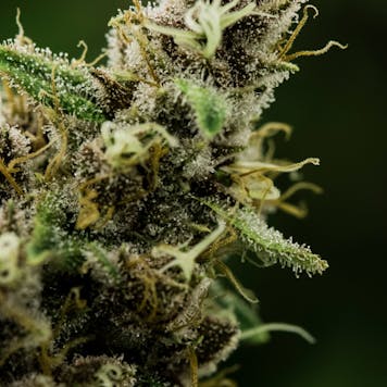 Photo of Astral Works