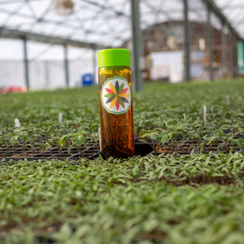 Photo of cGMP Certified Full Spectrum Distillate