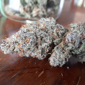 Photo of Unknown Kush