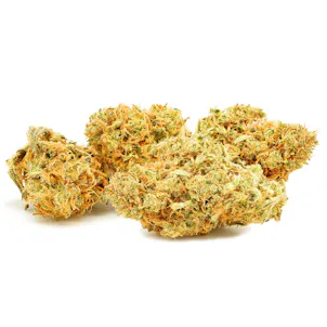 Photo of Wave Runner Pre-Roll 2 g 4 pack