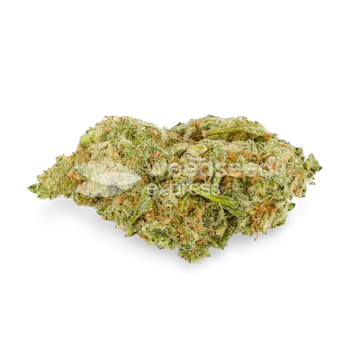 Photo of Humboldt Feminized Seeds