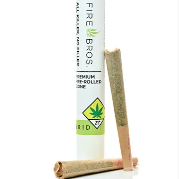 Photo of EWOK by Fire Bros.