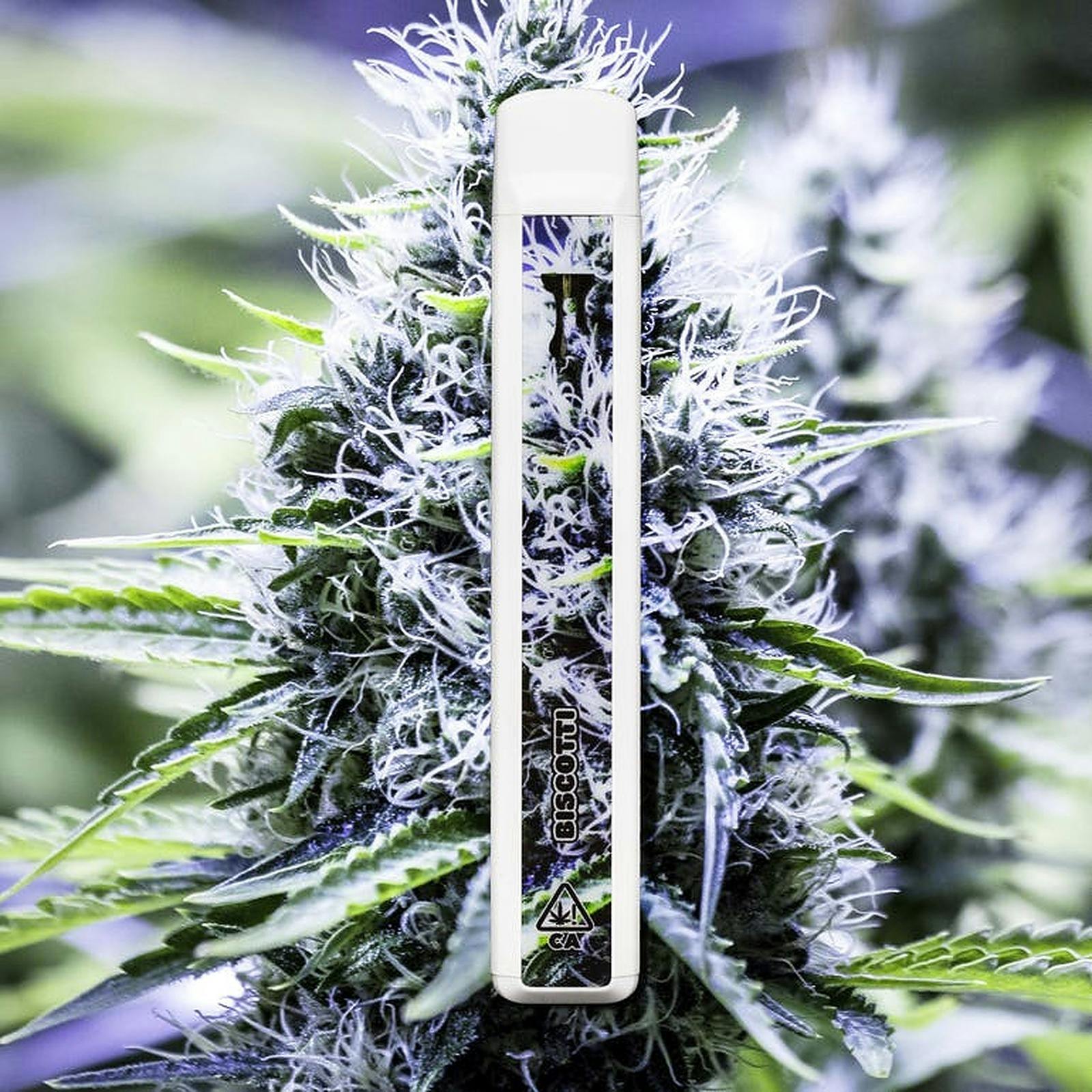 CAKE she hits different Cryo Cured Resin Biscotti Disposable 1G Leafly