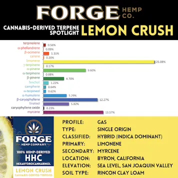 Photo of 1g HHC Distillate Syringe: Lemon Crush Strain Terpenes