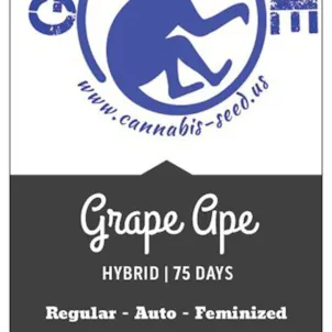 Photo of GRAPE APE SEEDS