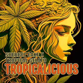 Photo of Tropicalicious