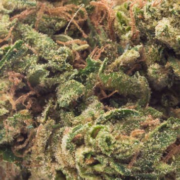 Photo of Master Buddha