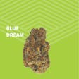 Product image for Blue Dream